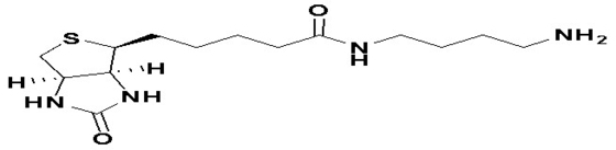 95% Min Purity PEG Linker   N-(4-Aminobutyl)biotinamide  151294-96-1