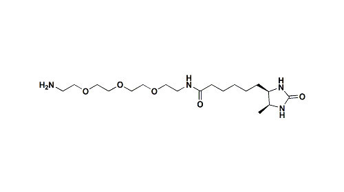 Dbco Click Chemistry / Amine-PEG3-Desthiobiotin