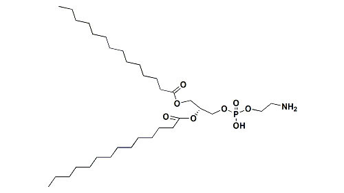 Cas 998-07-2 PEG Linker 95% 1 , 2 - Dimyristoyl - Sn - Glycero - 3 - Phosphoethanolamine